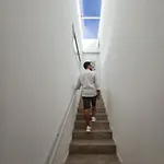 Vanni